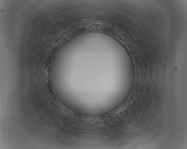 X0000085211013200703090823