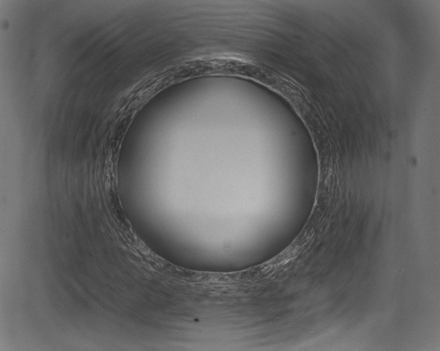 X0000085211014200703090823