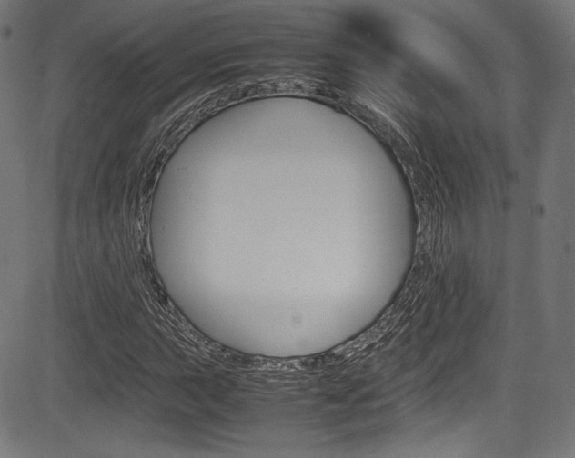 X0000085211015200703090823