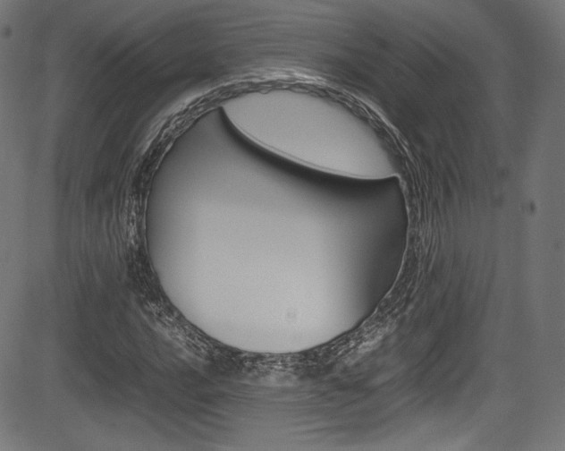 X0000085211016200703090823