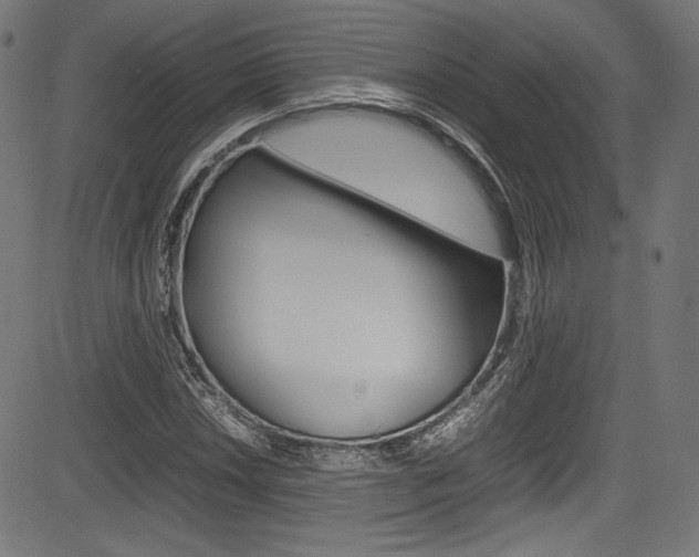 X0000085211018200703090823