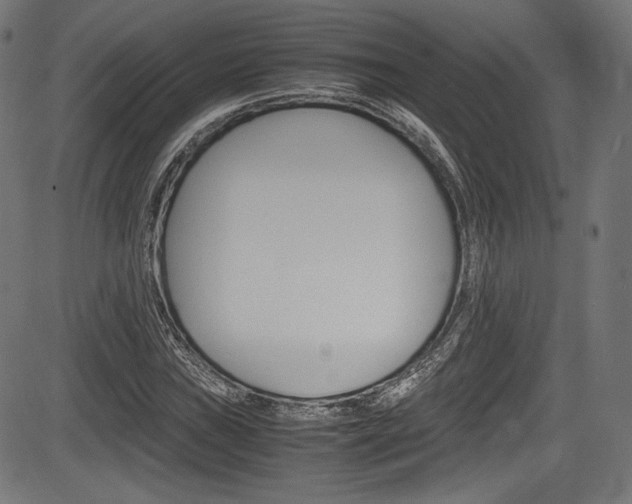 X0000085211019200703090823