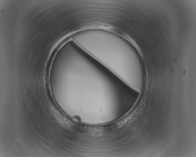 X0000085211020200703090823