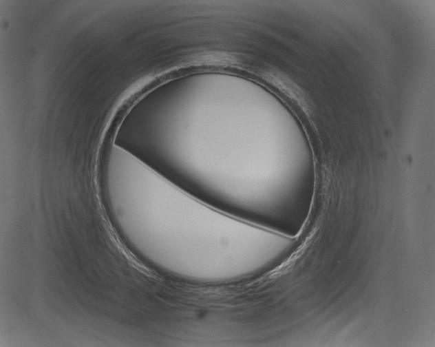 X0000085211029200703090823