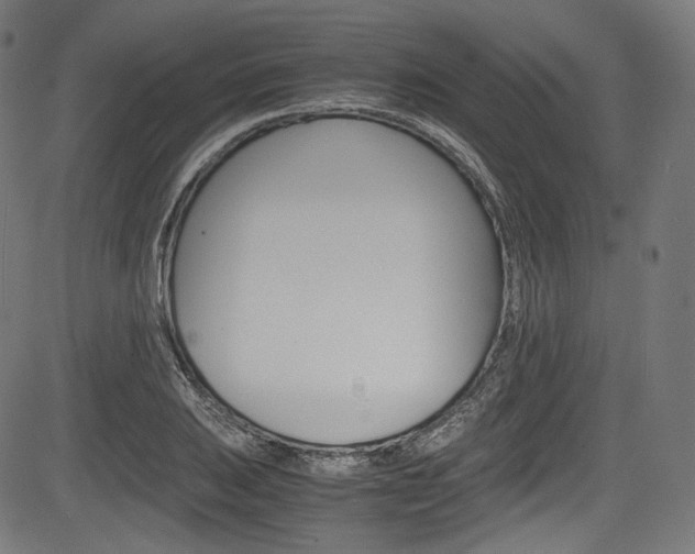 X0000085211031200703090824