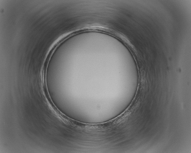 X0000085211032200703090824