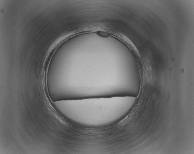 X0000085211035200703090824
