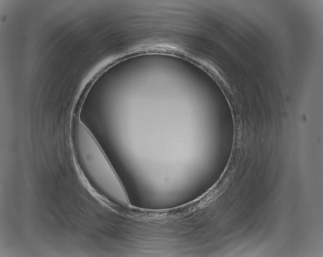 X0000085211038200703090824