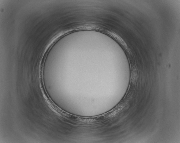 X0000085211039200703090824