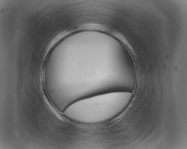 X0000085211040200703090824