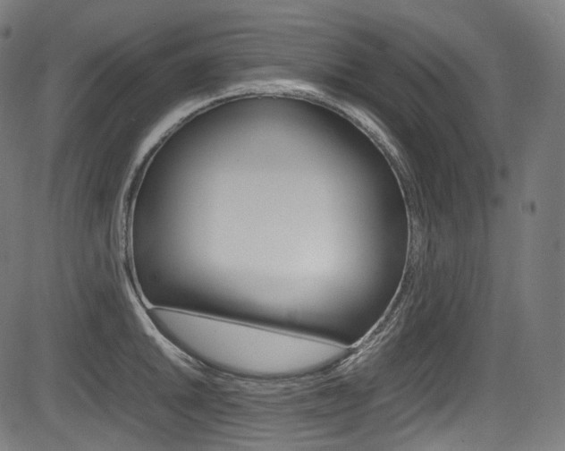 X0000085211046200703090824