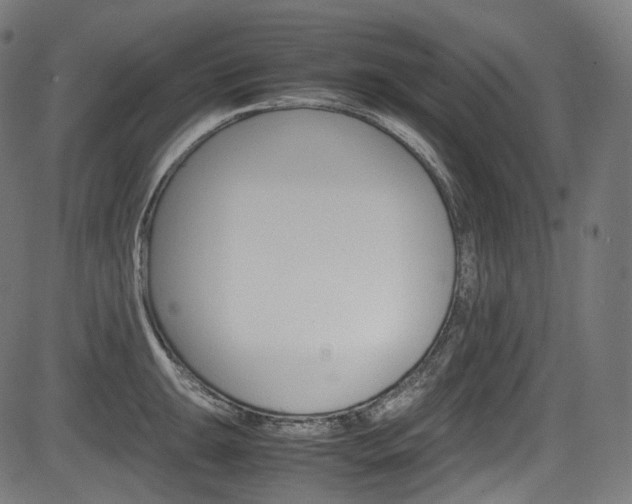 X0000085211047200703090824