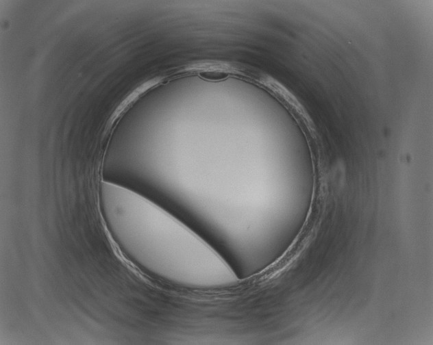X0000085211049200703090824