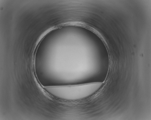X0000085211050200703090824