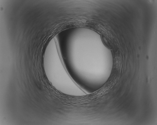 X0000085211057200703090823