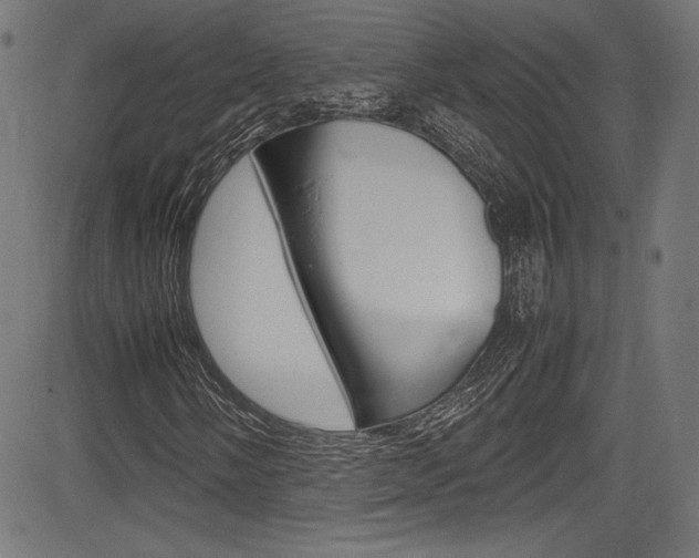 X0000085211058200703090823