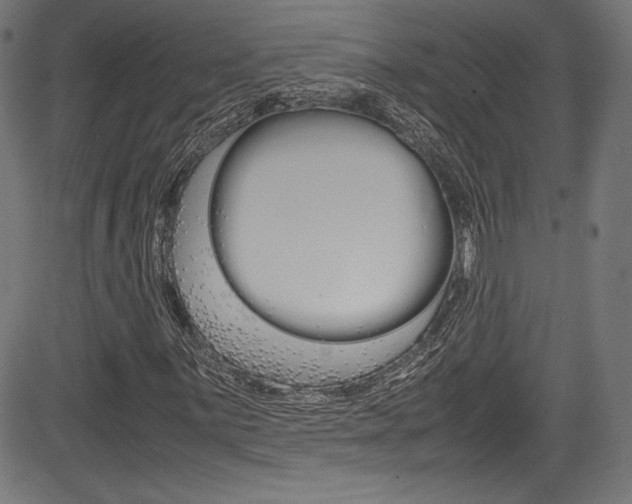 X0000085211059200703090823