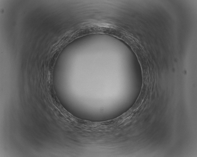 X0000085211061200703090823