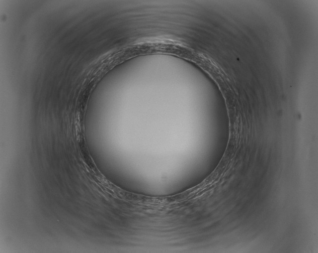 X0000085211062200703090823