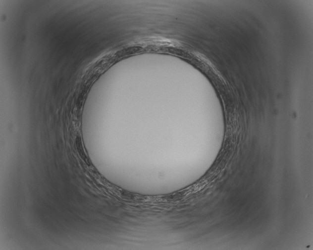 X0000085211063200703090823