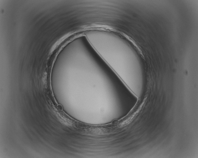 X0000085211066200703090823