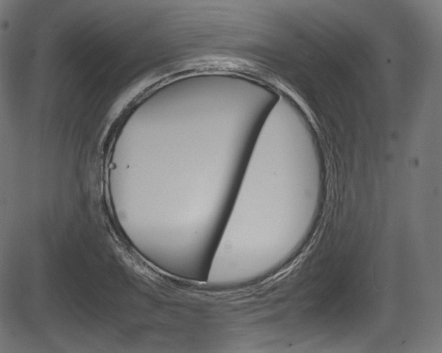 X0000085211075200703090823