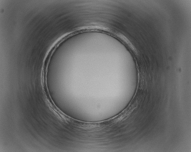 X0000085211076200703090823