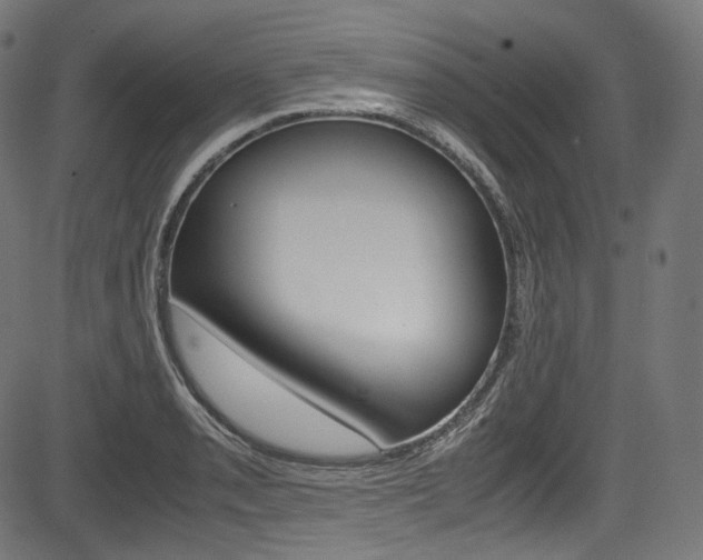 X0000085211085200703090823