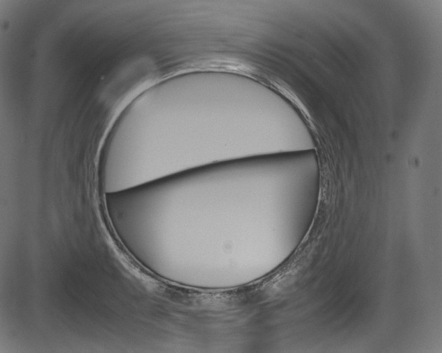 X0000085211087200703090823