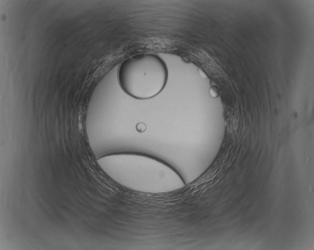 X0000085211106200703090822