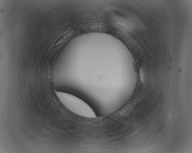 X0000085211107200703090822