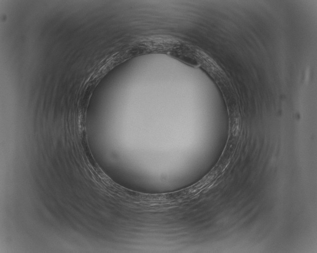 X0000085211108200703090822