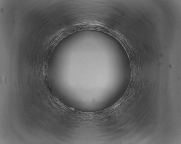 X0000085211110200703090822