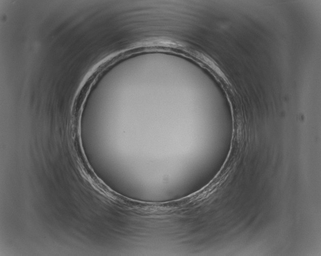 X0000085211116200703090822