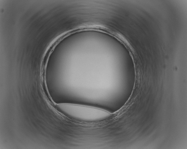 X0000085211124200703090822
