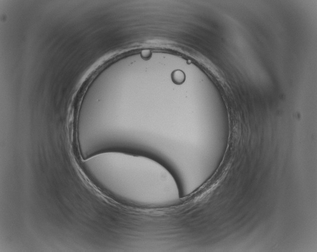 X0000085211126200703090822