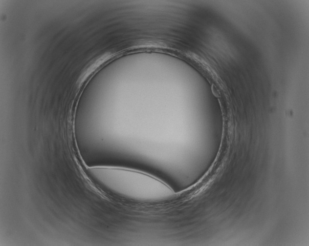 X0000085211129200703090822