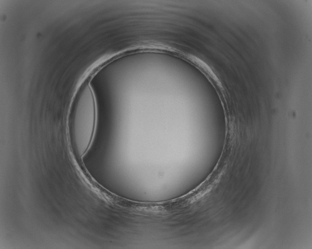 X0000085211133200703090822
