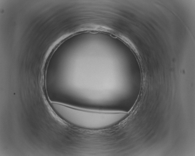 X0000085211136200703090822