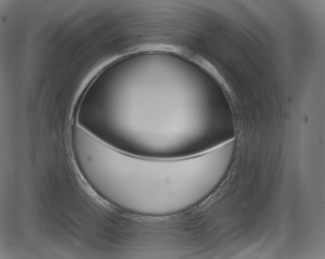 X0000085211140200703090822