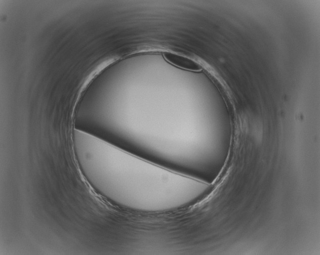 X0000085211145200703090822