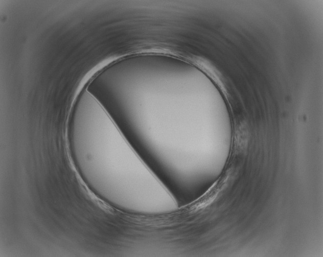 X0000085211149200703090822
