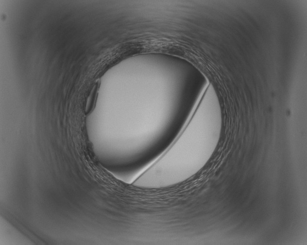 X0000085211153200703090822