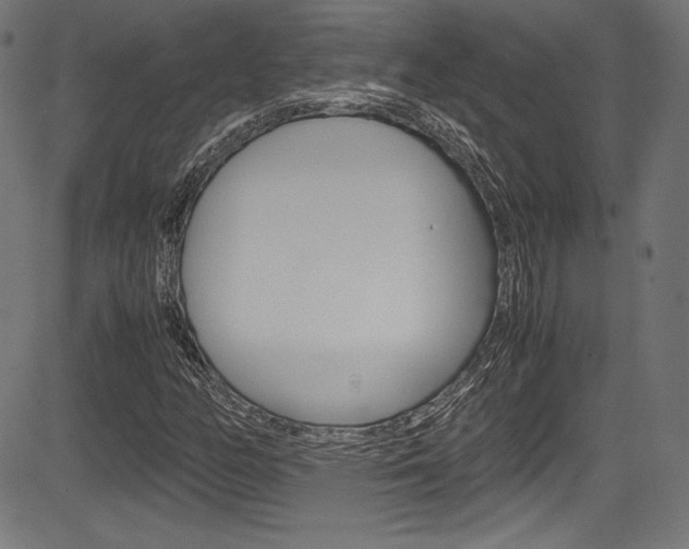 X0000085211158200703090821