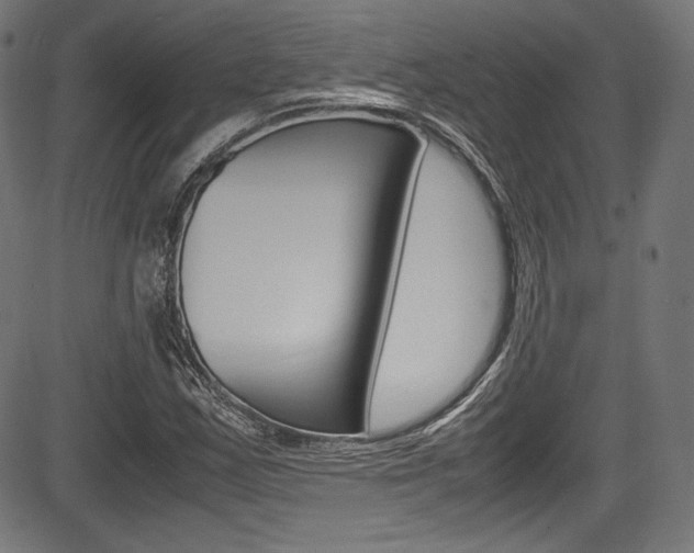 X0000085211163200703090821