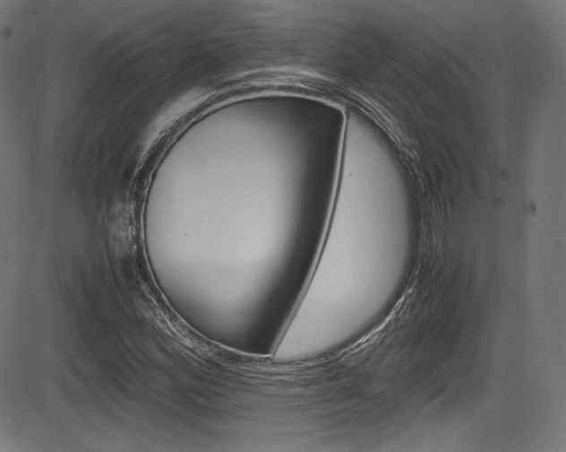 X0000085211164200703090821