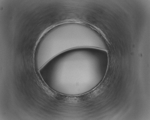 X0000085211168200703090821