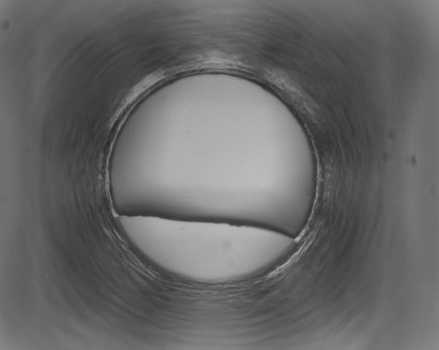 X0000085211170200703090821