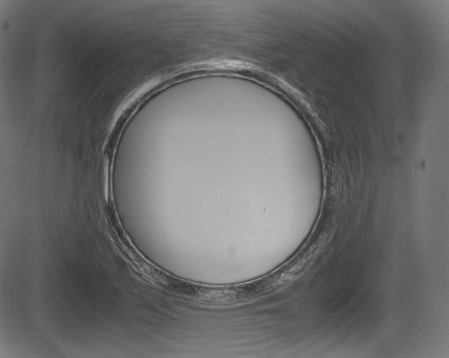 X0000085211171200703090821
