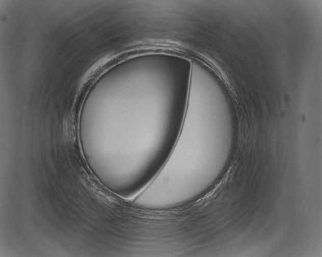 X0000085211172200703090821